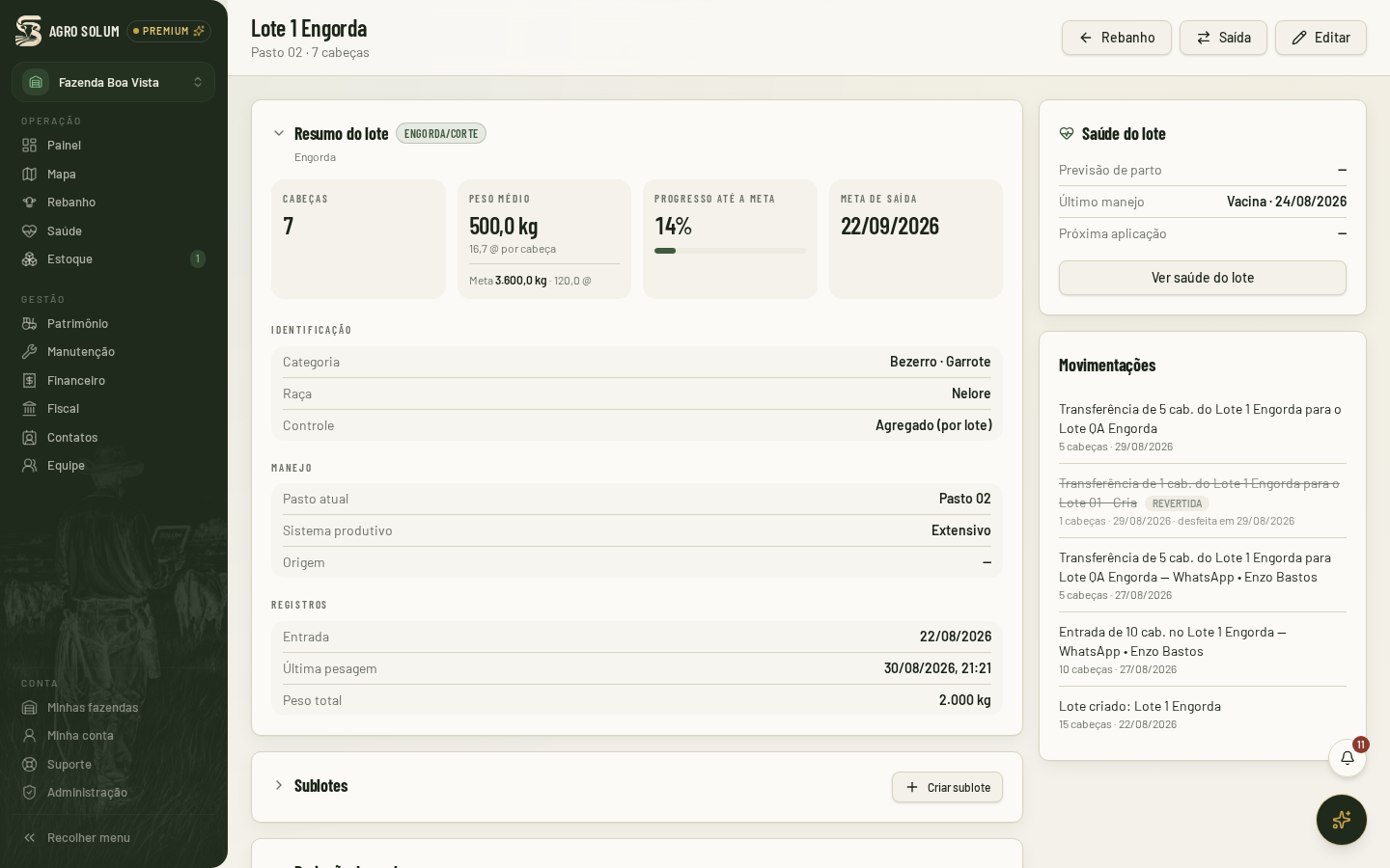 Tela interna de um lote de engorda com resumo do lote, peso médio, GMD e pesagens